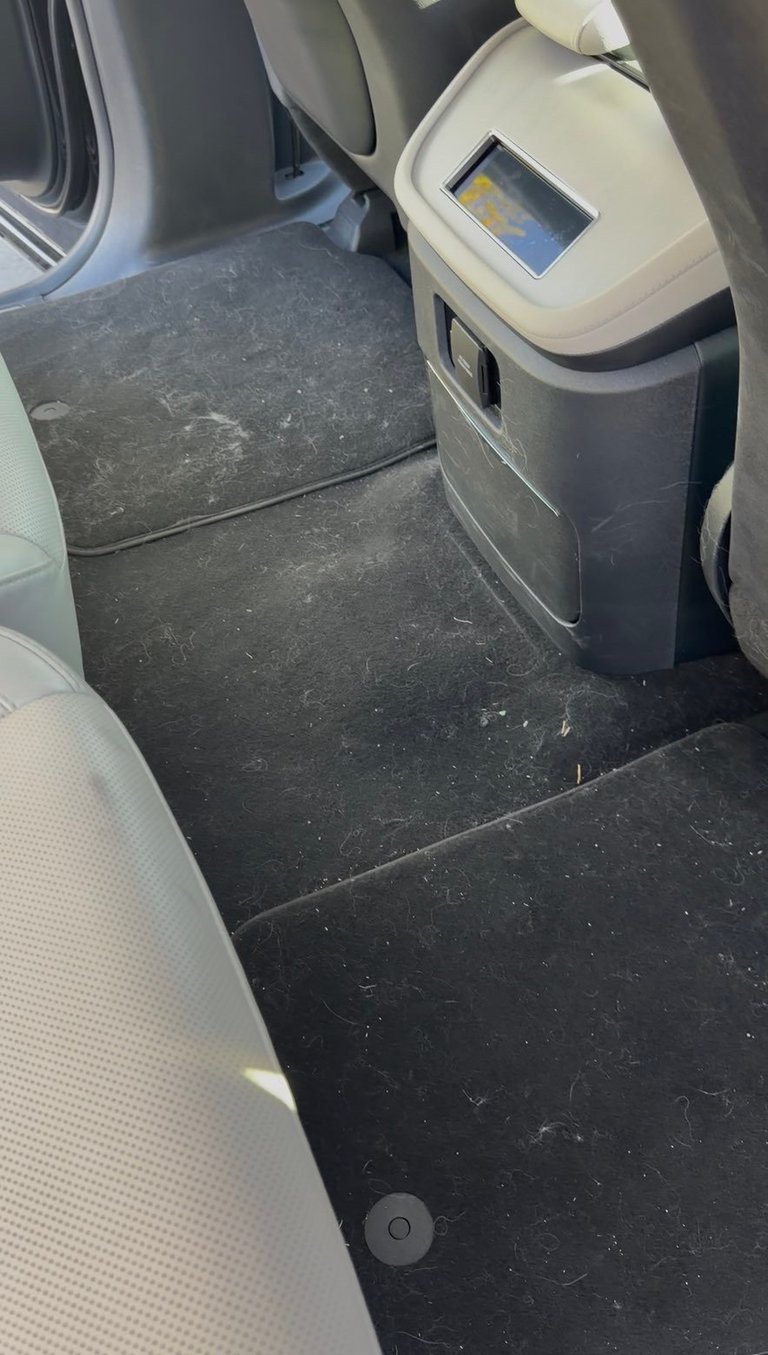 Airplane cabin interior showing narrow aisle with dark flooring, passenger seats, and lavatory door with digital screen on the right side