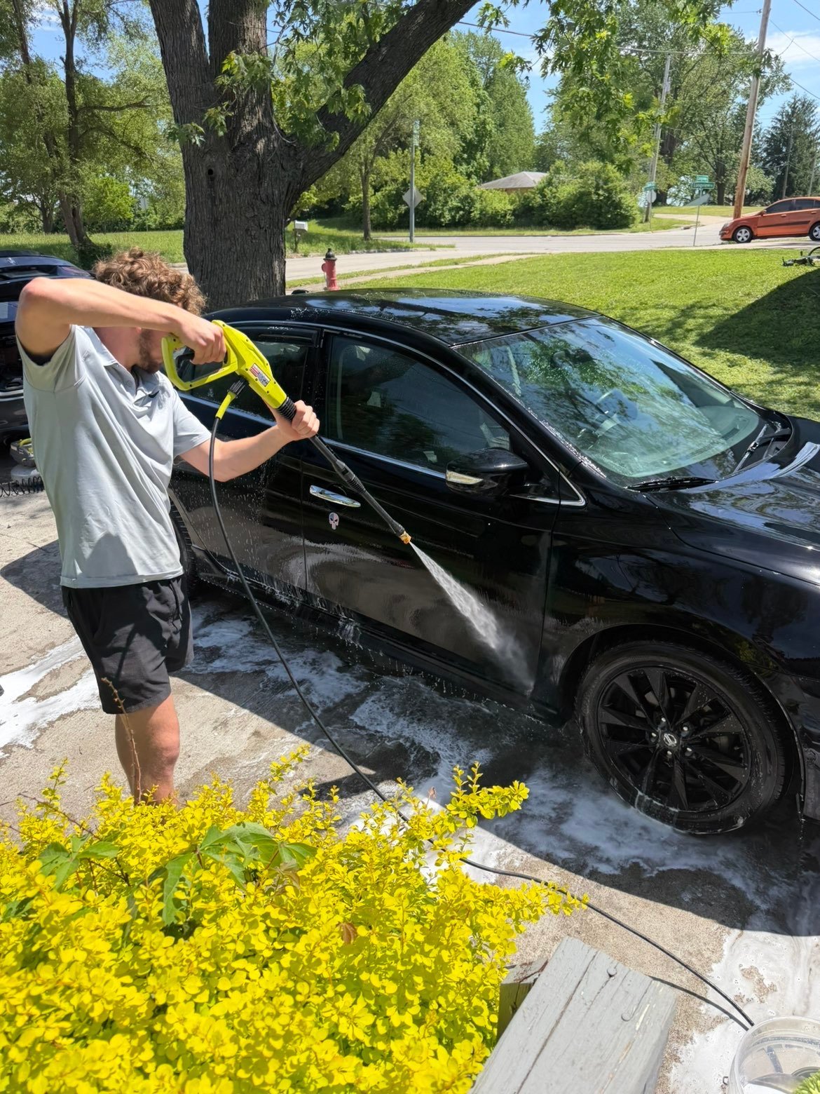 Man washing a black car in a driveway with yellow flowers and trees in the background on a sunny day